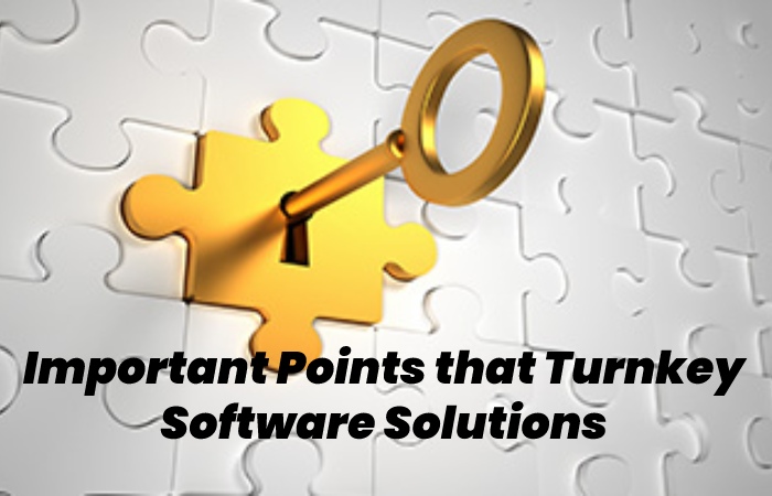 Important Points that Turnkey Software Solutions