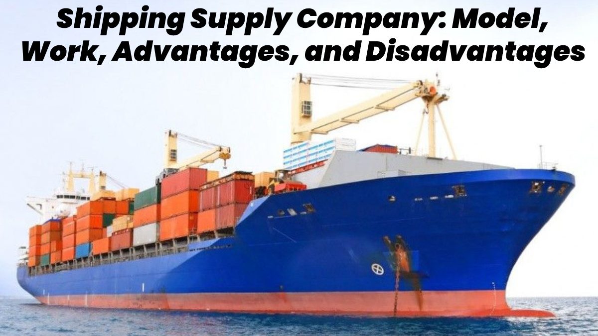 Shipping Supply Company – Definition, Key Participants, And More
