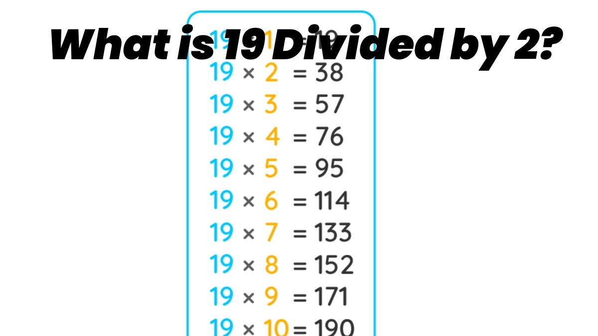19 Divided by 2 is ? – Different Solutions