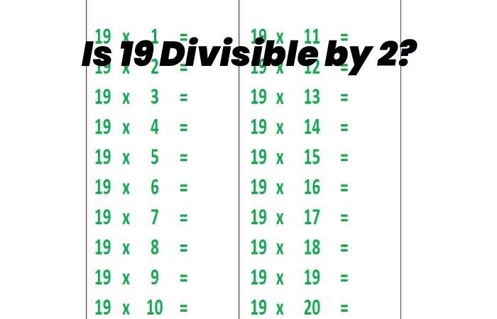 Is 19 Divisible by 2?