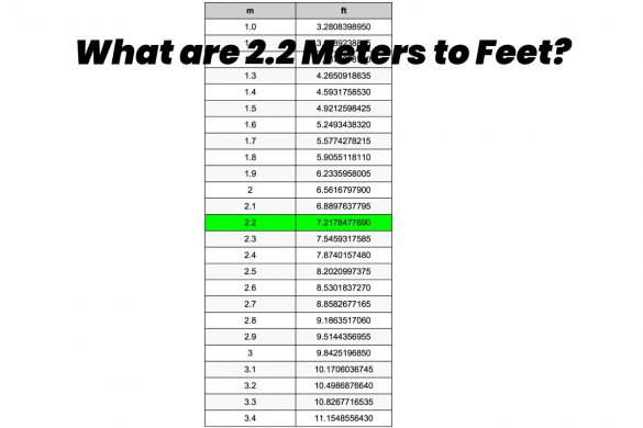 2.02 meters in feet