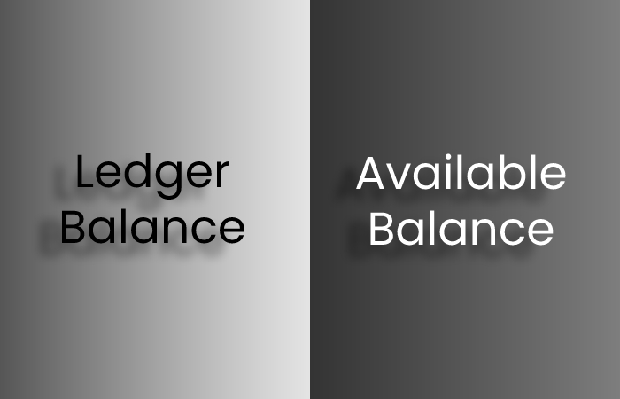 What Is A Ledger Balance