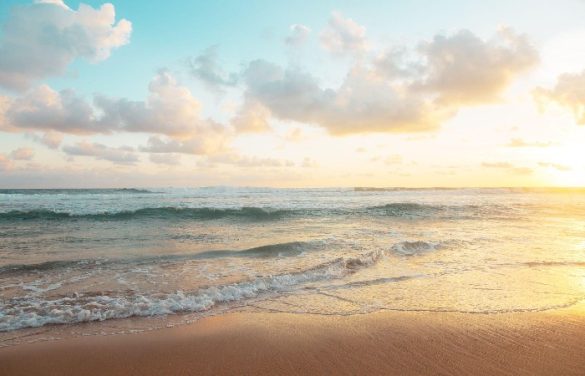 Newport News Weather Complete Forecast And Top Hotels