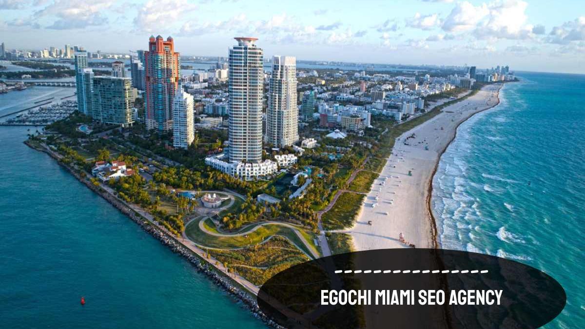 Egochi Miami SEO Agency – The Way To Improve Rankings
