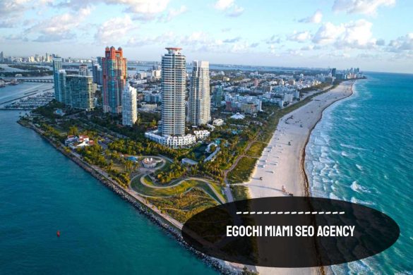 Egochi Miami SEO Agency