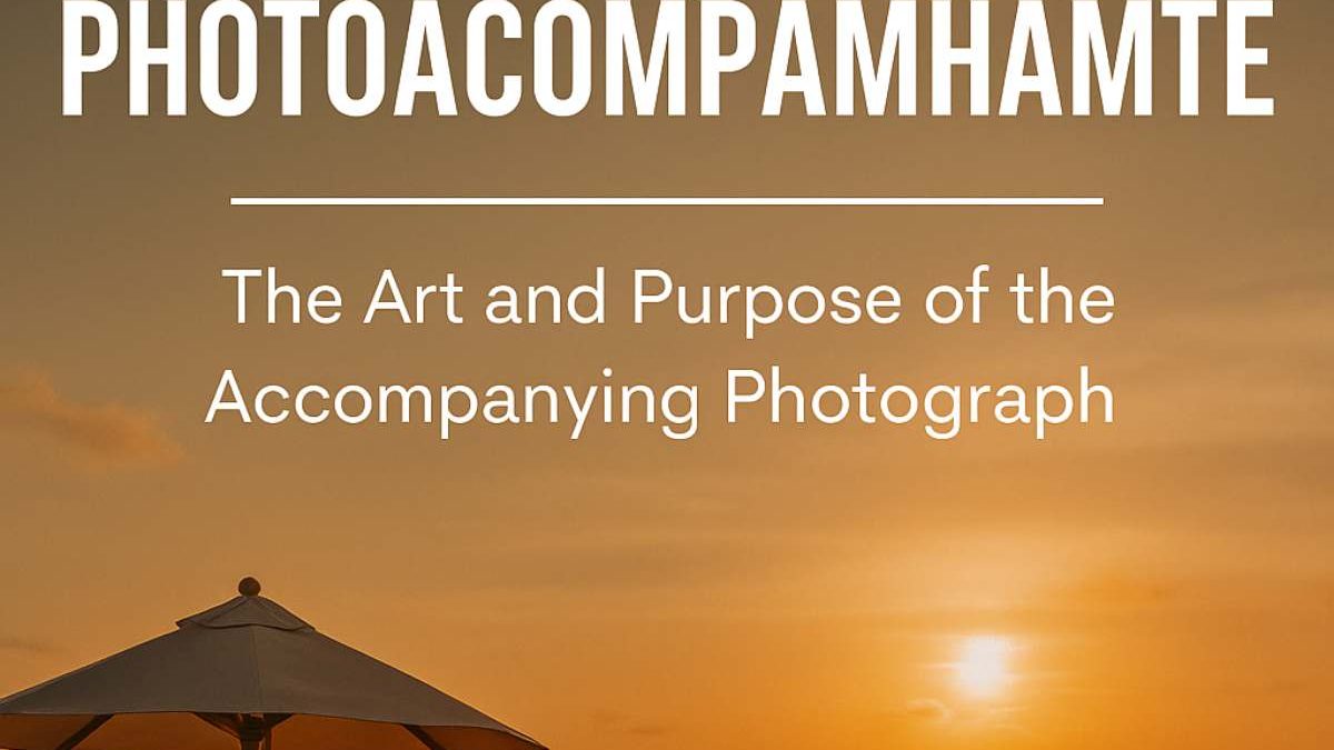 Photoacompamhamte: The Art and Purpose of the Photograph